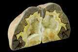 Tall, Crystal Filled Septarian Geode Bookends - Utah #151416-3
